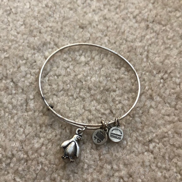 Silver penguin Alex and ani - Picture 1 of 1
